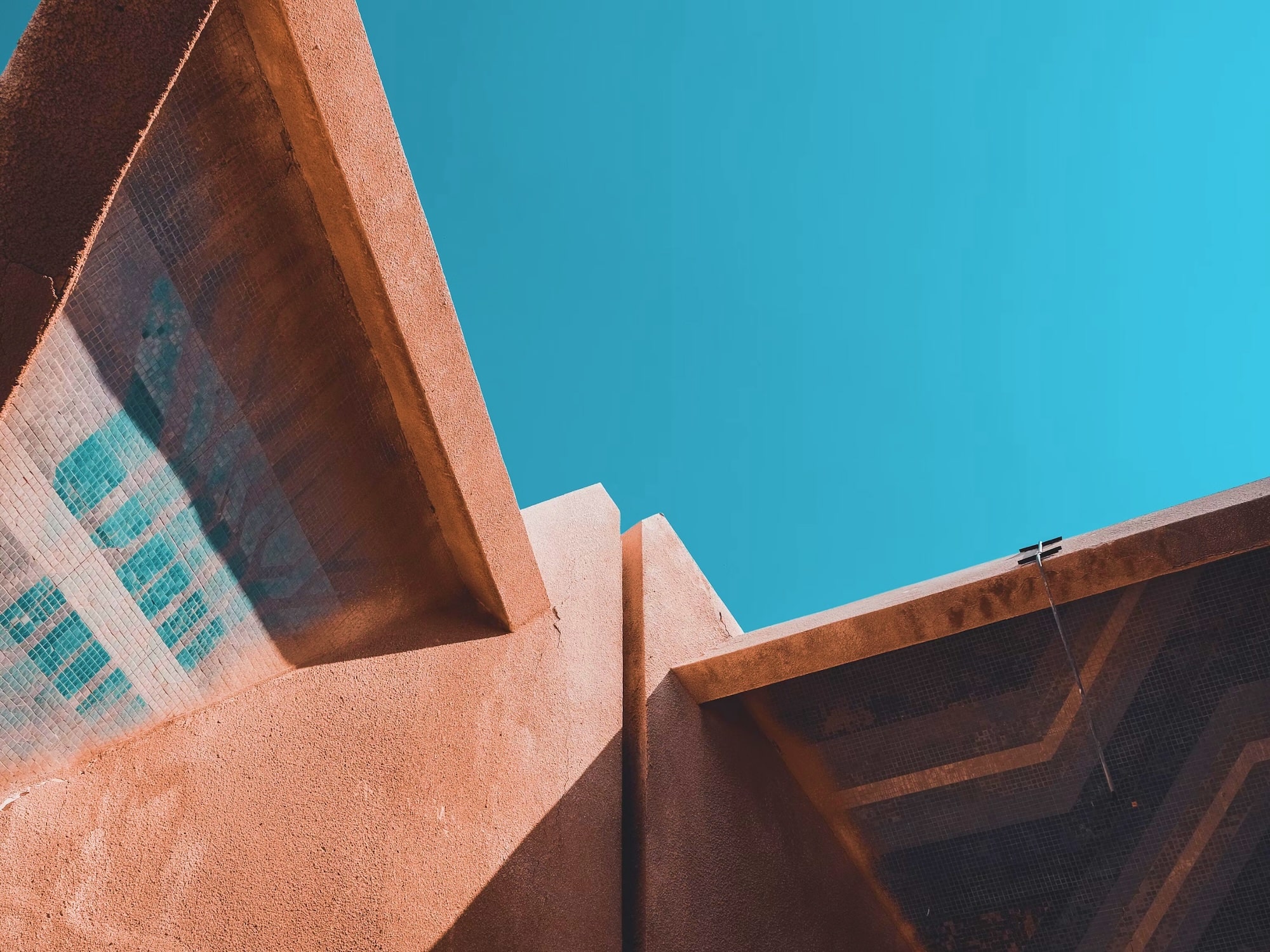 Brand Identity Launch