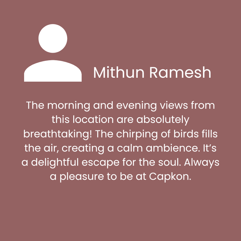 Your paragraph text (4)